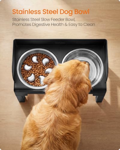 Feandrea Dog Bowls Elevated, Adjustable Height, Tilted Design - color: Ink Black, style: 1 Stainless Slow Bowl + 2 Stainless Basic Bowl