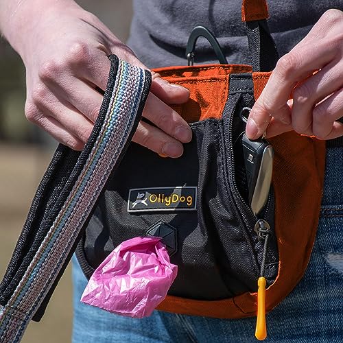 OllyDog Backcountry Day Bag | Hands-Free Dog Training Treat Pouch | Fanny/Hip Pack with Zipper Closure & Built-in Poop Bag Dispenser | Removable Waist Clip (Clay) - color: Clay