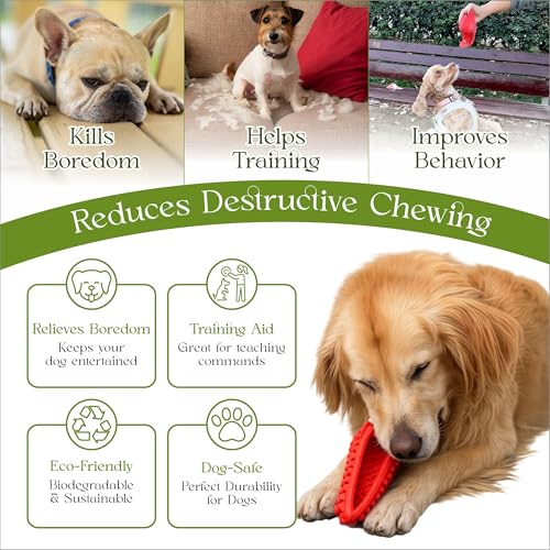Dog Chew Toys for Aggressive Chewers - Treat Dispensing Chew Shoe Interactive Small Medium Dog Puzzle Toys - color: GREEN
