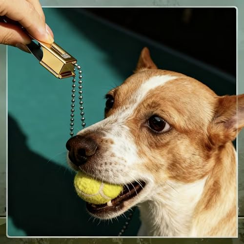 Jenaai 3 Pieces Brass Dog Training Clicker with Chain for Dogs Cats, Gold - color: Gold