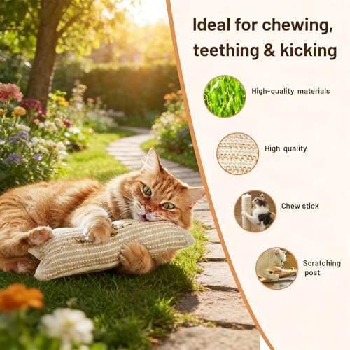 2 PCS Catnip Pillow, Cat nip Pillows, Soft Catnip Pillows for Indoor Cats, Cat Kicker Pillows for Playtime, for Cats with Durable Fabric Construction