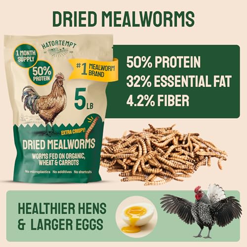 Hatortempt 5lb Dried Mealworms for Chickens & Wild Birds, Chicken Feed - size: 5 Pound (Pack of 1)