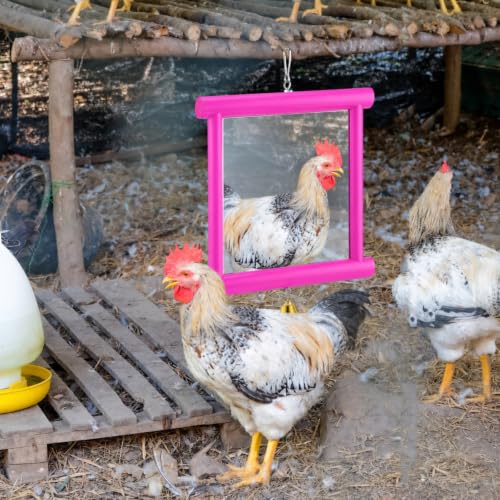 Sadnyy Extra Large Chicken Mirror Toy for Coop Square Double Side Mirror - color: Rose Red, size: Square