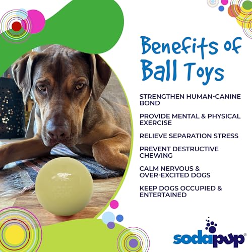 SodaPup Squeaker Ball – Durable Dog Ball Toy, Chew Toy & Floating Retrieving Toy with Squeaker Made in USA from Non-Toxic, Pet-Safe, Food Safe Rubber Material for Bonding, Physical Exercise, & More - color: Glow in the Dark Ball, size: Medium