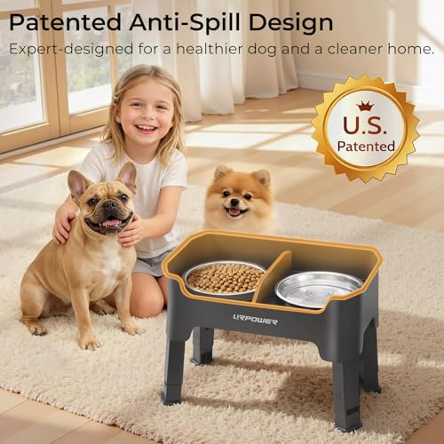 URPOWER Mess Proof Elevated Dog Bowls, Splash Guard Raised Bowl Stand - color: Grey, size: Small