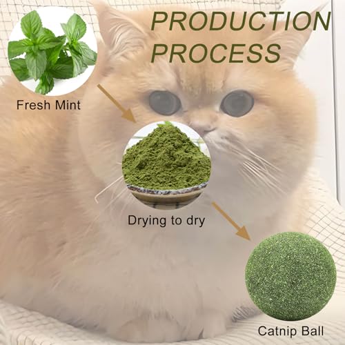 Catnip Balls for Cats - 3 inches Diameter Catnip Ball, Interactive Cat Toy for Indoor Cats, Cat Nip Licking Balls - size: 3 inch