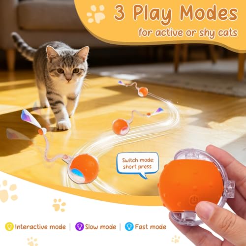 Interactive Cat Ball Toy, Motion Activated Electric Rechargeable Cat Toy - color: Orange