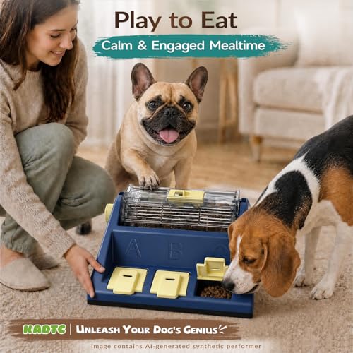 KADTC 2-Level Dog Puzzle Toy Rotating Treat Dispenser for Small/Medium Dogs - color: Blue, size: Large