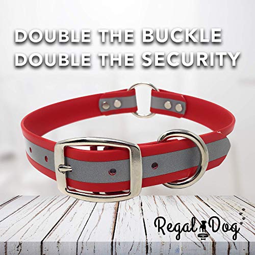Regal Dog Products Reflective Dog Collar, Durable Metal Buckle, Small Red - color: Red, size: Small