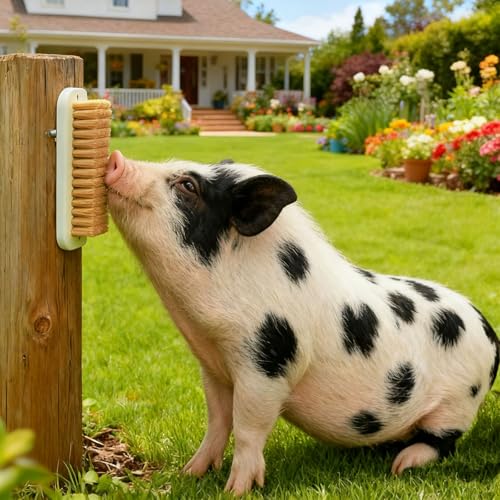 Toys for Pigs, 3-Pack Pet Enrichment Scratching Brushes for Outdoor