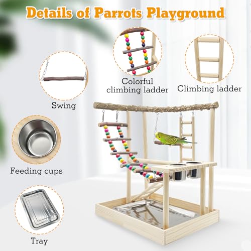 Hamiledyi Bird Playground Wooden Parrot Perch Stand Cockatiel Playground