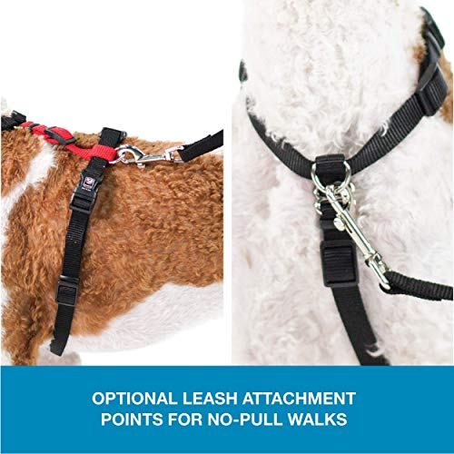 Blue-9 Balance Harness® and Leash Walking Set for Dogs, No-Pull, Red, L - color: Red, size: Large