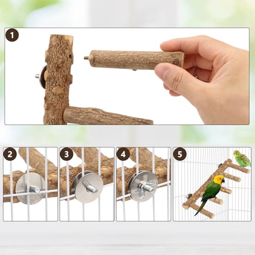 Hypeety Bird Ladder Perch for Cage Natural Wood Climbing and Chewing Toy