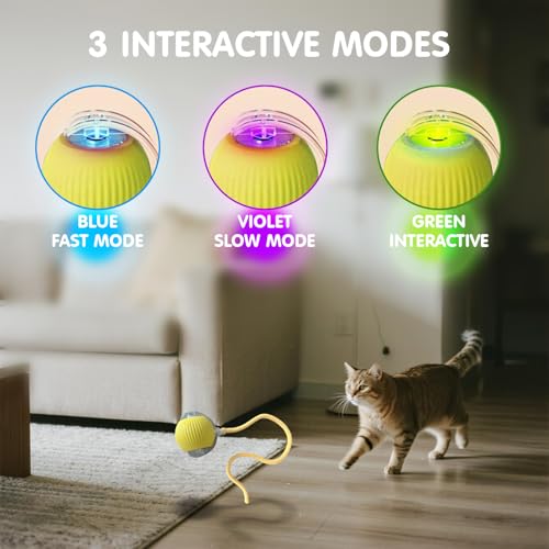 Rocfish Durable Interactive Cat Toys for Indoor Cats (Yellow, 01) - color: yellow01, size: 01