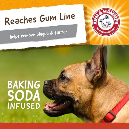 Arm & Hammer Super Treadz Mini Gorilla Dental Chew Toy, Small, 3.5 in, 3-Pk - size: Small (Pack of 3), style: Gorilla
