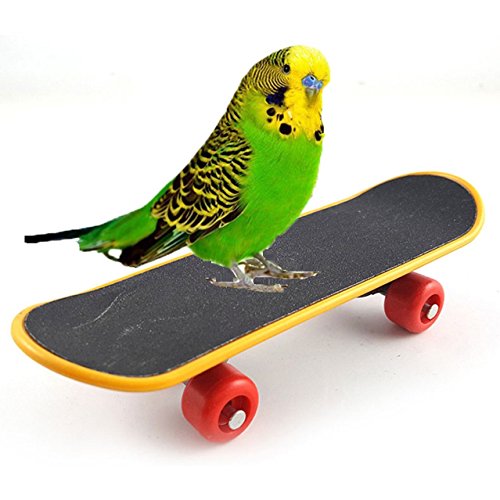 Hypeety Bird Toys Mini Skateboard Intelligence Training Toy for Parrots - color: Mini Skateboard