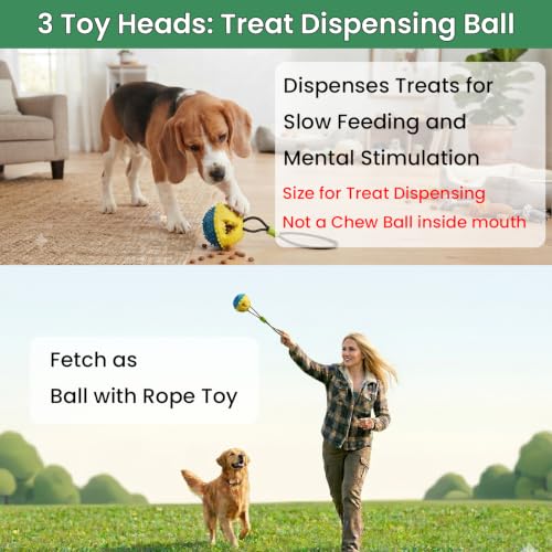 Dog Door Bungee Tug Toy, 4 Pieces, Small Medium Dogs 20 to 50lbs