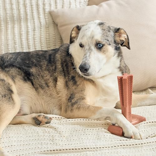 SPOT Bam-Bones Plus T-Bone Dog Chew, Beef, 7in, 60-90 lb Heavy Chewers - size: Large