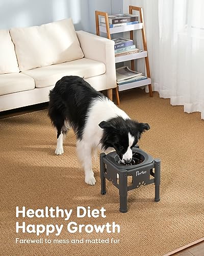 Pawque 35oz Elevated Slow Feeder Dog Food Bowls with Adjustable Stand - color: Grey