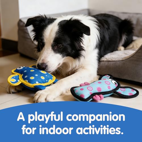 Squeaky Dog Toys for Small & Medium Dogs, Turtle & Lobster Set - color: Turtle & Lobster