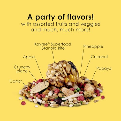Kaytee Fiesta Parakeet Food, Nutritious and Fun Blend, 25 Pounds - size: 25 Pound (Pack of 1)