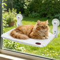 Woochpet Cat Window Perch Bed,Foldable Kitty Windowsill Hammock Shelf Seat,Kitten Window Sill Lounger with Soft Rabbit Fur Cover Cushion Machine Washable,Solid Metal Frame and Strong Suction Cups - color: White-Small