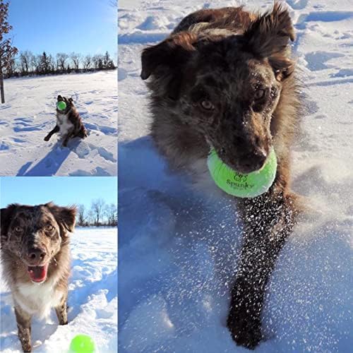 Squeaky Tennis Balls 3-Pack Medium - color: Multicolor, size: Medium 3 Pack