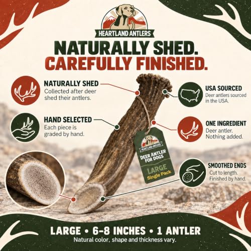 Heartland Antlers Whole Deer Antler Dog Chew for Aggressive Chewers - style: Large (Dogs 45-65 lbs)