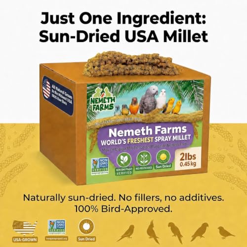 Nemeth Farms Spray Millet - Edible Tops Only, Non-GMO and Sun-Dried - 2 lbs for Cockatiels, Lovebirds and Budgies - size: 2 Pound (Pack of 1)