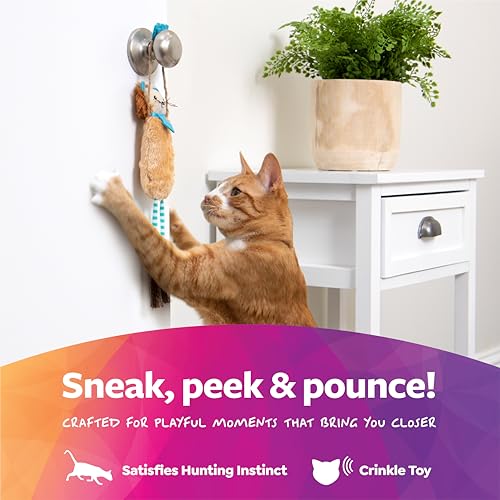 SmartyKat Loopy Lion Door Hanging Breakaway Kicker Catnip Cat Toy