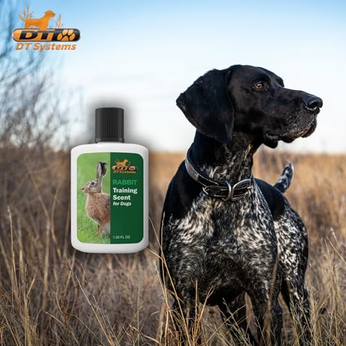 DT Systems Super Pro Series Training Scents, Natural Real Concentrated Hunting Retriever Dog Field Game Trailing Scent Training Aid for Puppies, Adult & Senior Dogs, 1.25 oz