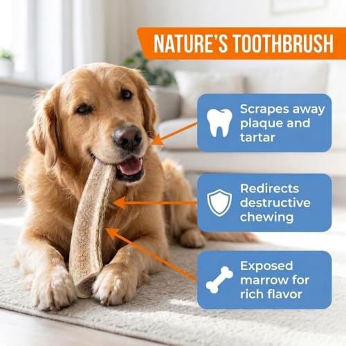 K9warehouse Mixed Elk Antlers for Dogs, Split & Whole, Large 7 Pack, 1.5lbs