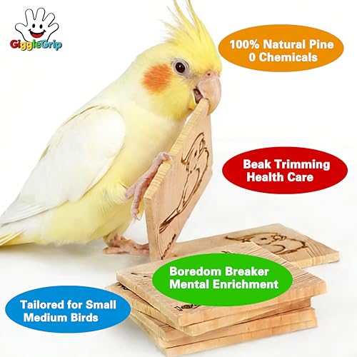 10 Pack Bird Chew Toys, 100% Natural Pine Wood Blocks for Parrot Chewing & Beak Trimming, Durable Bird Cage Accessories for Medium Small Birds, Conures, Cockatiels