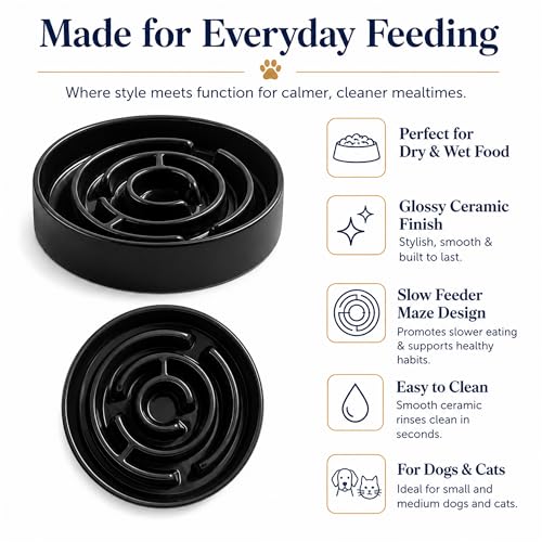 Ceramic Slow Feeder Dog Bowl, 1.5 Cup Puzzle Dish for Small Medium Dogs - color: Ceramic-Black