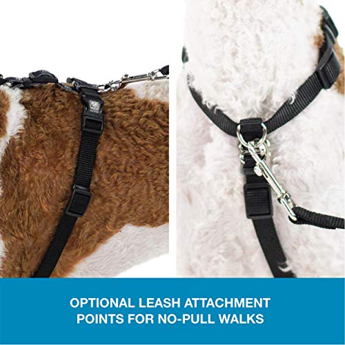 Blue-9 Balance Harness® and Leash Walking Set for Dogs, No-Pull, Black, S - color: Black, size: Small