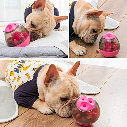 Dog & Cat Interactive Mental Stimulation Toy, Puzzle Treat Ball for Frenchie, Slow Feeding Ball (Green) - color: Green