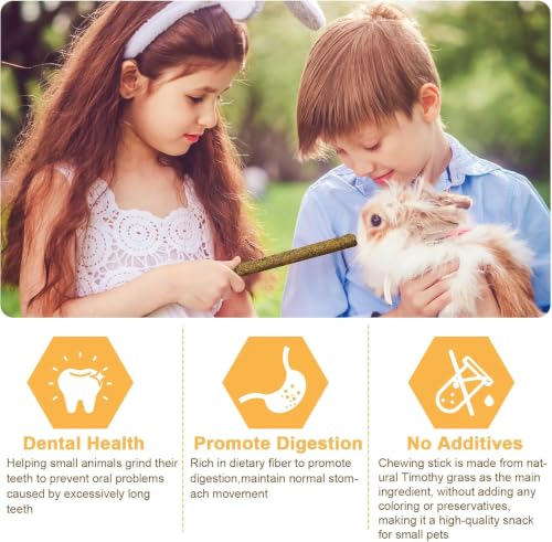 208Pcs Rabbit Chew Sticks, Guinea Pig Toys, Natural Timothy Hay Teeth Stick - size: 208Pack-Set