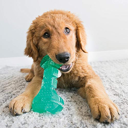 KONG Squeezz Dental Bone, Flexible Dental Chew Toy, for Medium/Large Dogs - style: Bone