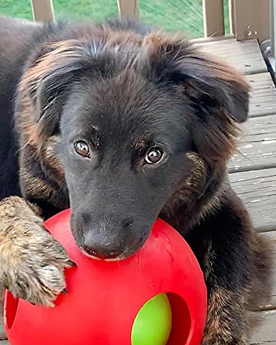 Jolly Pets Teaser Ball Interactive Dog Toy, 8 in Large, Red - color: Red, size: Large (8 in)