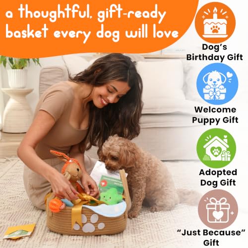 Deluxe New Puppy & Dog Gift Basket for Puppies, Adopted Dogs & Small Family Dogs - Dog Lick Mat, Chew Toys, Squeaky Toys, Toy Box, Treat Mold, Pet Blanket - Essential Pet Supplies