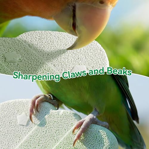 Parrot Perch Nails & Beak/Toe Grinding Stone Bird Perch for Cage 2 Pack - color: Blue+Green