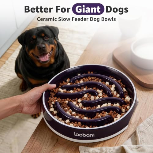 LOOBANI 4.5 Cups Ceramic Slow Feeder Dog Bowls Giant Dogs with Grip Handles - size: XL (4.5 cups)