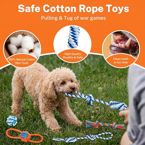 Toozey 8 Pack Small Dog Toys, Squeaky Plush Puppy Toys & Durable Rope Toys