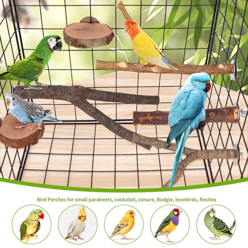12 Pcs Natural Wood Bird Perch Stand & Platform Set for Cages - size: Deluxe Playground Set - 12PCS
