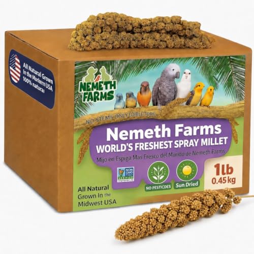Nemeth Farms Spray Millet - Edible Tops Only, Non-GMO and Sun-Dried - 1 lb for Parakeets, Canaries and Finches - size: 1 Pound (Pack of 1)