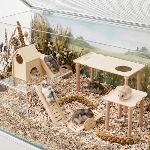 Novabright 5 Pcs Hamster Platform Playground Set, Wooden Hamster Hiding House Cage Accessories with Multi-Functional Platform, Seesaw, Ladder and Slide for Dwarf Syrian Hamsters, Gerbils, Mice