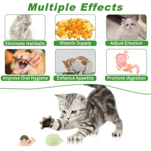 CCINEE 2pcs Catnip Balls for Cats Wall Catnip Toys Edible Cat Toys for Cat Lick Safe Healthy Kitten Chew Toys Teeth Cleaning Dental Cat Toys