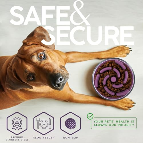 FAHRMOSIS 32 Oz Dog Bowl with Slow Feeder Insert Stainless Steel Pet Water Bowl for Medium & Large Breed Non Slip Rubber Base & Plastic Puzzle Feeder - Lavender - color: Lavender, size: 32 OZ