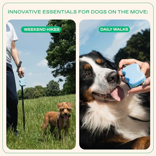 Springland Silicone Dog Training Treat Pouch for Leash, Sky Blue - color: Sky Blue