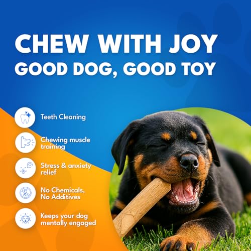 Set 3 of Coffee Wood Dog Chew Toy – Coffee Chew Stick for Small Dogs - Teeth Cleaning & Stress Relief – Safe, Durable & Eco-Friendly Dog Chew Toy (Small - Under 32 lbs) - size: Small